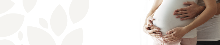 Plano de parto